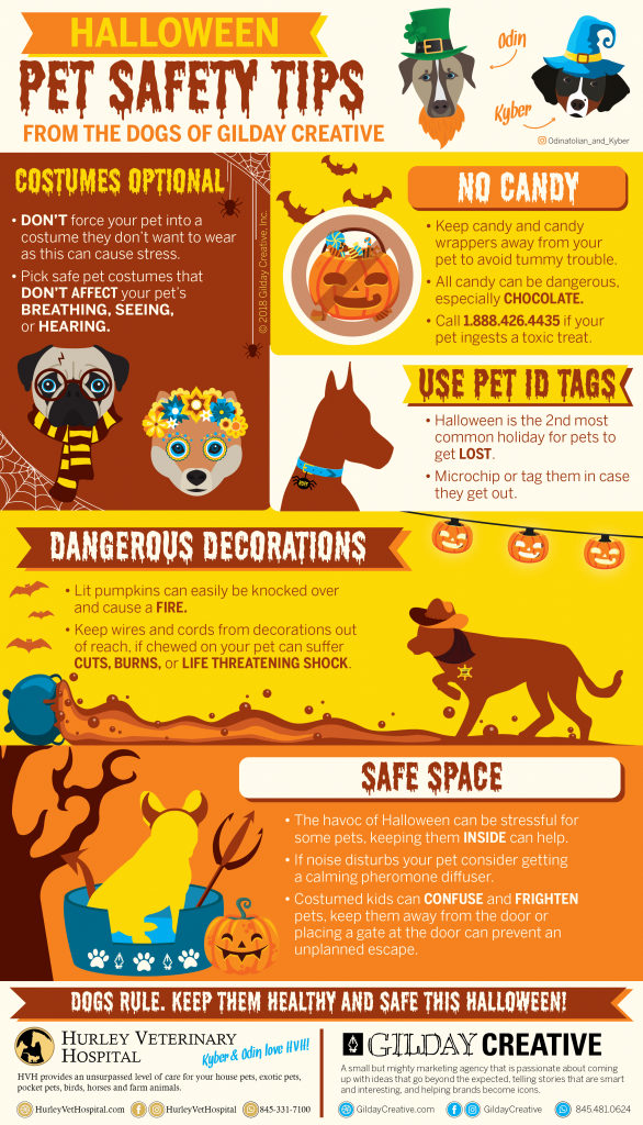 Halloween Pet Safety Infographic