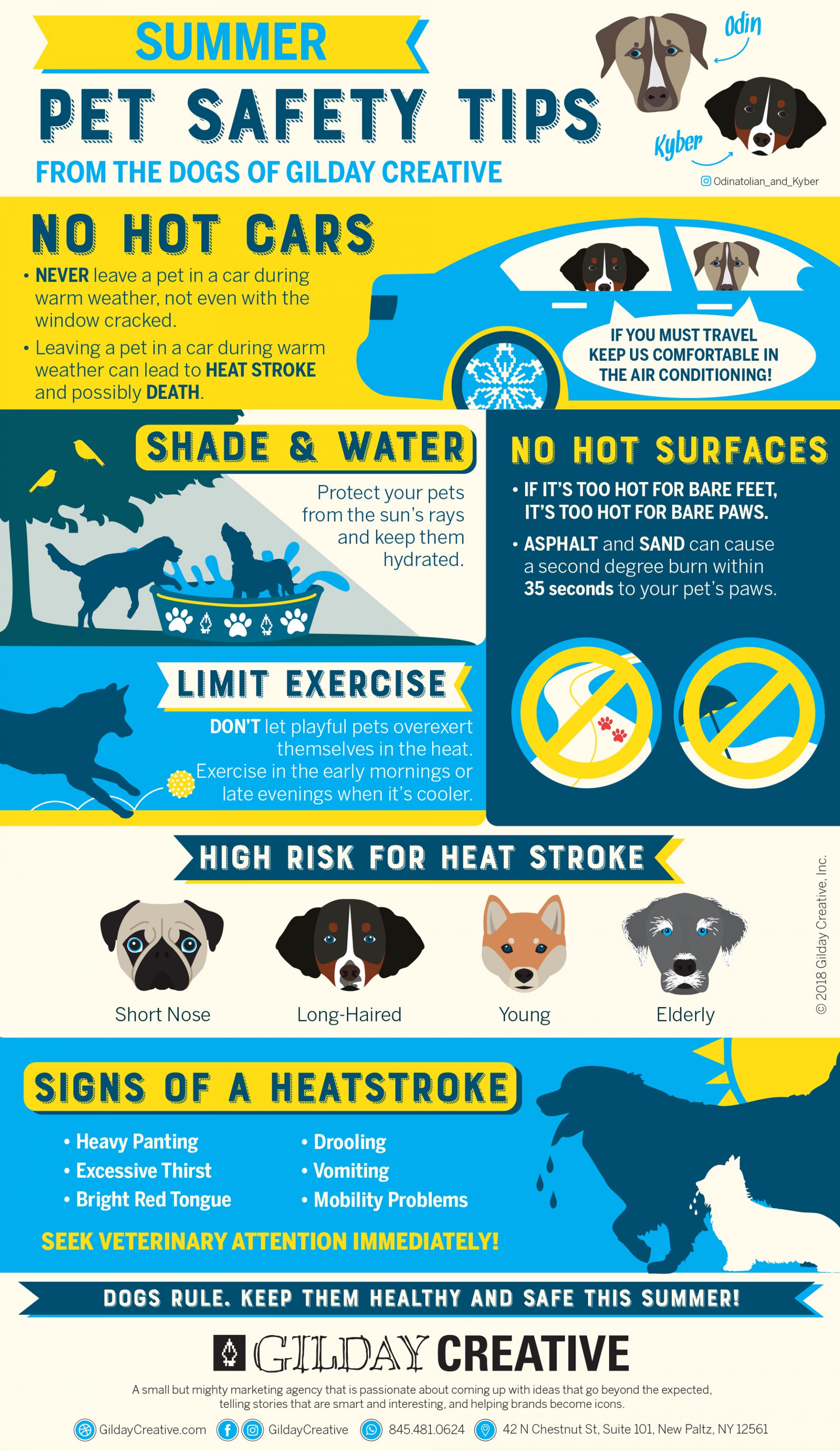 Summer Pet Safety Infographic - Gilday Creative, Inc.