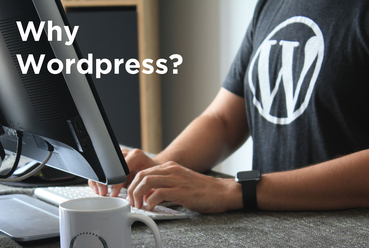 Person at computer with the wordpress logo on their shirt. Overlay says "Why Wordpress?"