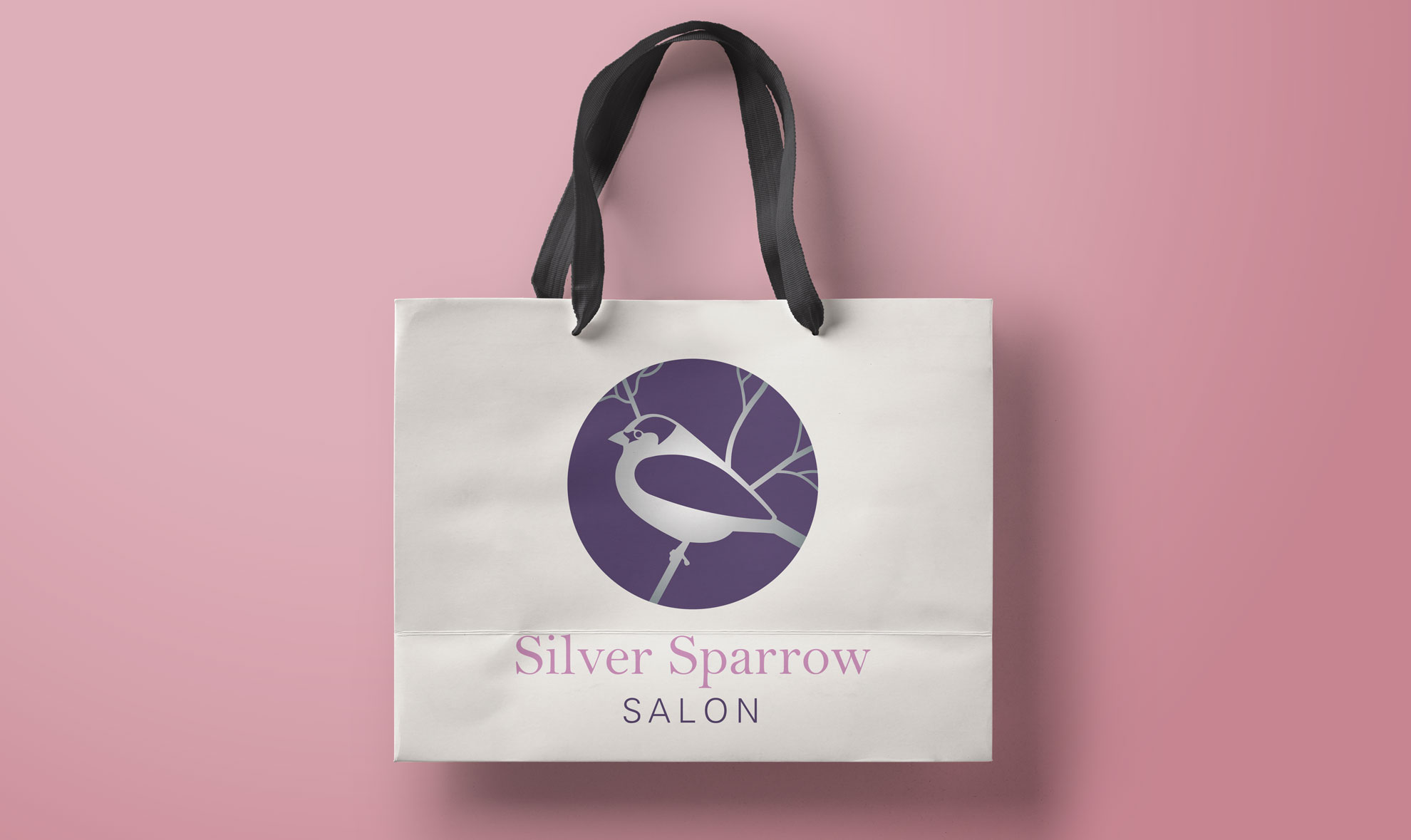 packaging design for Silver Sparrow Salon