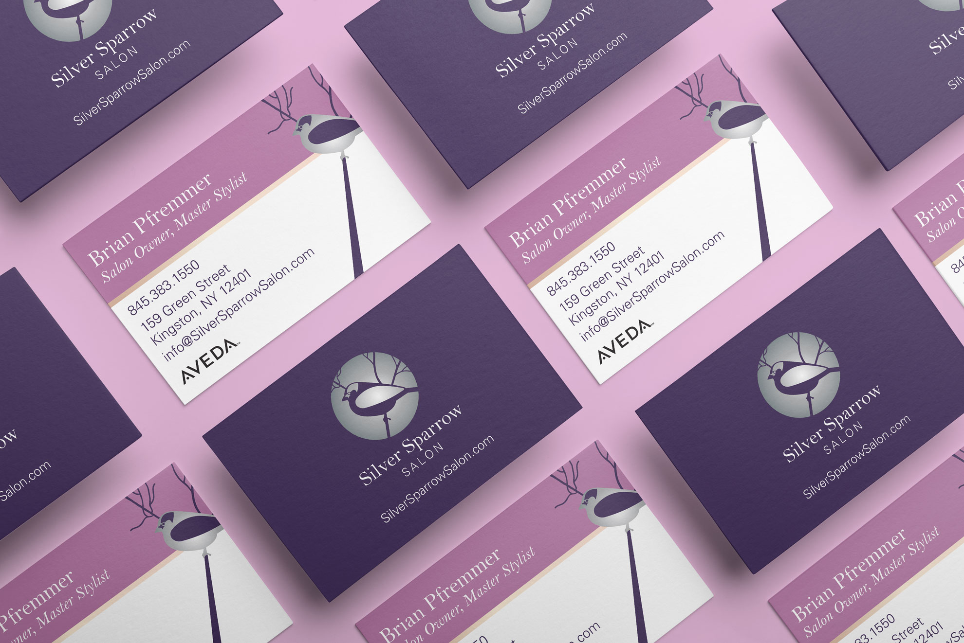 Business Cards for Silver Sparrow Salon