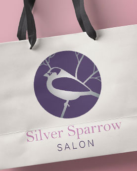 silver sparrow salon promo card for logo and branding