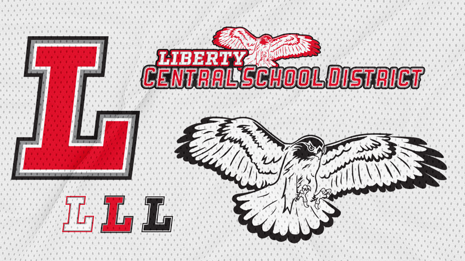 logo alternatives for Liberty Central School District